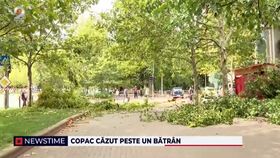 Copac căzut peste un bătrân din Capitală. Oficialii pasează vina de la unul la altul